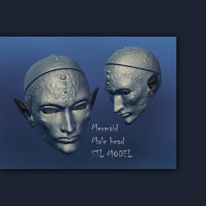 bjd head, bjd male, bjd doll head, elf bjd, action figure accessories, 3d printer doll, 3d printed bjd doll, elf, bjd 3d file, bjd model