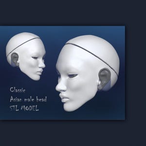 3d modeling machines male doll bjd doll head 3d doll stl bjd 3d printed bjd doll 3d printing resin bjd male head 3d printer asian portrait