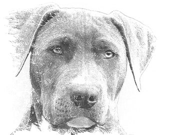 犬をテーマにした塗り絵