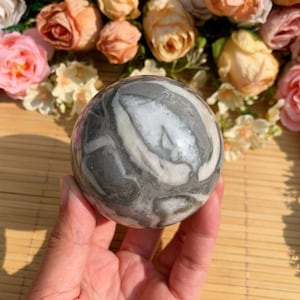 Polished Fossil Shell Sphere (64mm+): Black & White Healing Crystal Decor, Halloween gift