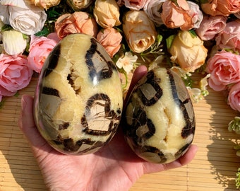 1PC Septarian Dragon Quartz Egg, Polished Natural Stone, Unique Home Decor, Ideal Gift for Crystal Collectors