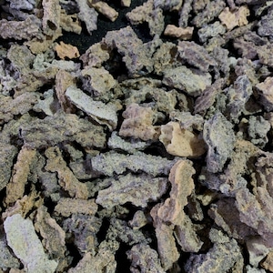 1PC Lightning Fused Fulgurite - Rare Crystal Specimen, Healing Stone, Unique Gift for Spiritual Seekers, 90g+ with Bottle, Halloween Gift