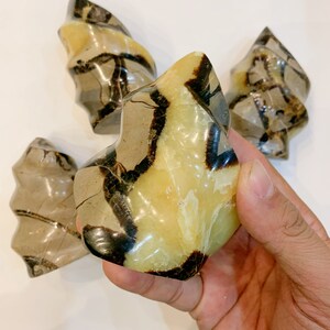 1PC Septarian Dragon Quartz Flame, Hand-Carved 400g+, Perfect for Home Decor, Unique Gift for Crystal Lovers Halloween Gift