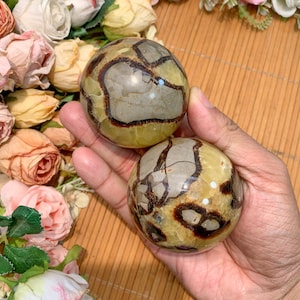 1PC Polished Natural Septarian Sphere | 6.2cm | Clear Patterns | High Quality | Home Decor, Halloween Gift