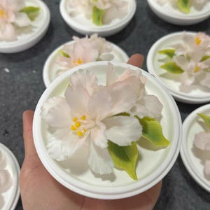 May include: Close-up of several small, white, round dishes, each holding a delicate, edible flower arrangement. The flowers have white petals with a hint of pink, yellow centers, and green leaves. The arrangement is held in a hand.
