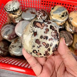 Polished Dendritic Jasper Palm Stone: Picture Stone for Home Decor, Halloween gift