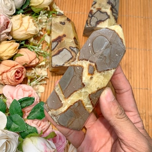Septarian Obelisk Tower, Polished  Dragon Stone for Energy Healing and Meditation, Unique Gift for Spiritual Seekers Halloween Gift