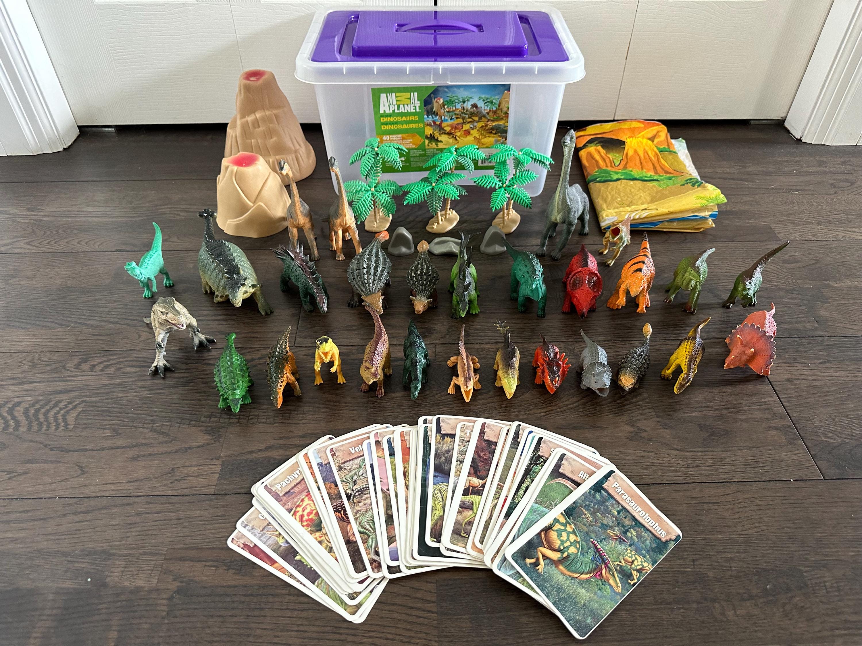 Animal Planet Dinosaurs Accessories LOT 1 Etsy Canada