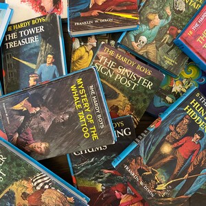 Hardy Boys Mystery Books ~ WÄHLE EIN BUCH! (Speditionshinweis beachten)