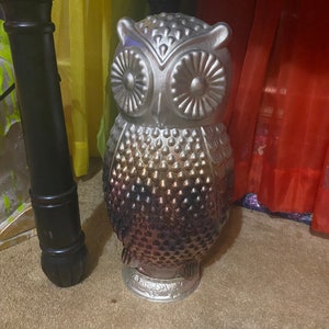 Silver Hoot Owl image 7