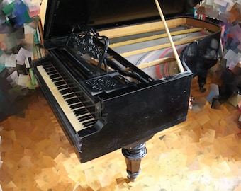 Può includere: Un pianoforte a coda nero con il coperchio aperto, che rivela il meccanismo interno dello strumento. Il pianoforte ha un set di tasti in avorio e si trova su un pavimento in legno.