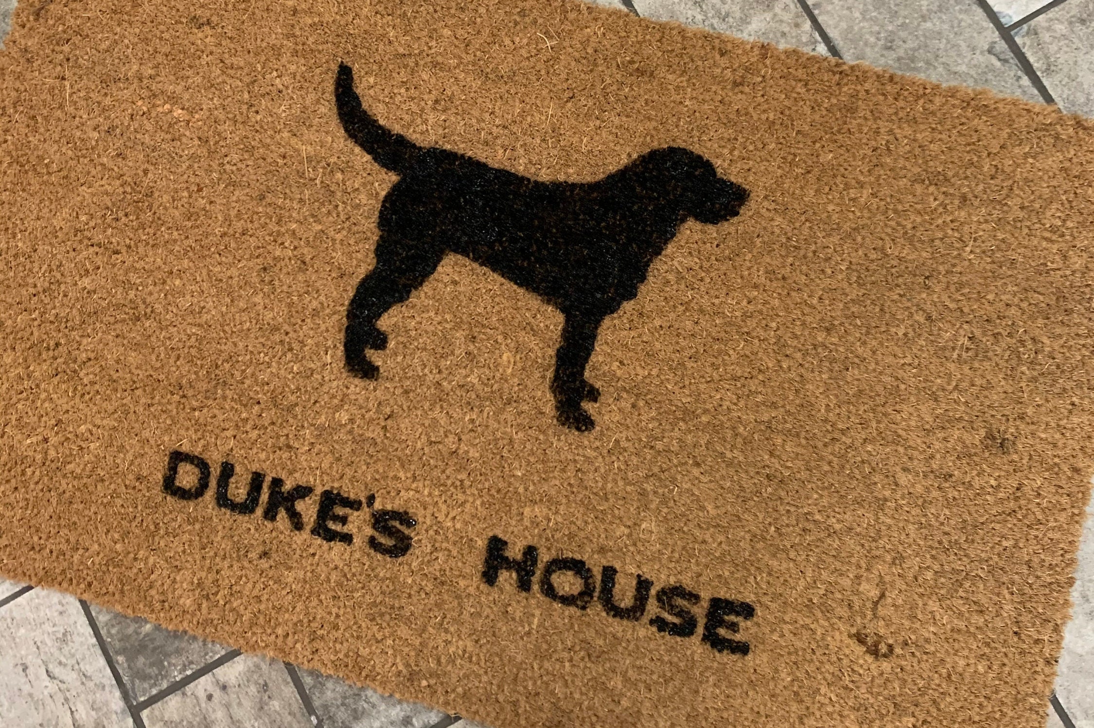 Cute Dachshund Christmas Doormats Dog Funny Dogs Theme Doormat Winter