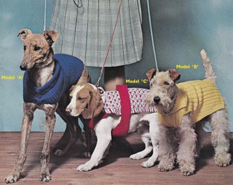 vintage dog coats knitting pattern PDF instant download