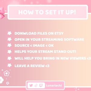 Puede incluir: Gr&aacute;fico rosa y melocot&oacute;n con el texto "HOW TO SET IT UP!" e instrucciones para software de transmisi&oacute;n. Incluye un lazo rosa, flores e ilustraciones de fresas. La parte inferior tiene iconos de redes sociales y el nombre de usuario "Lunariachi".