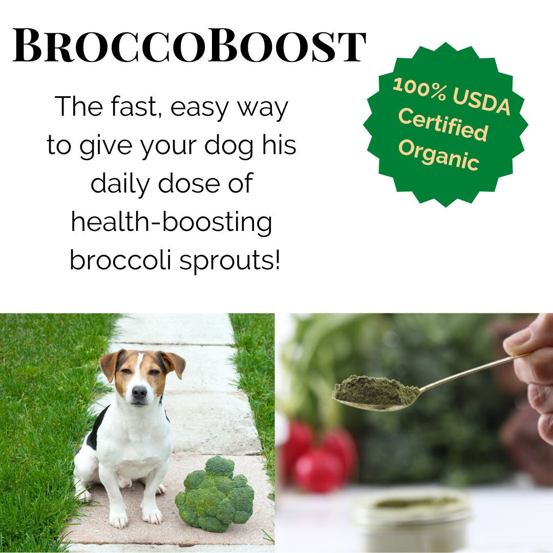 Are Dogs Allowed At Sprouts