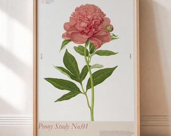 Peony Flower Print, Botanical Wall Art, Vintage Japanese Style Poster, Floral Decor