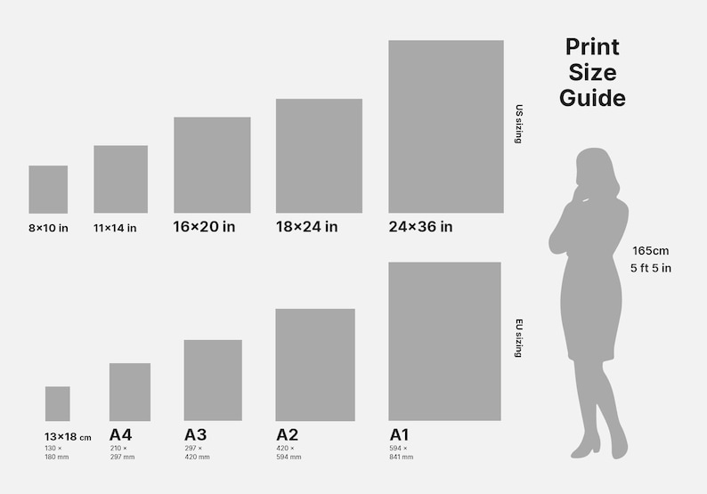 May include: Print size guide with US and EU sizing. Displays rectangular print sizes in inches and centimeters, including 8x10 in, 11x14 in, 16x20 in, 18x24 in, and 24x36 in. A silhouette of a person is shown next to the guide, with a height of 5 ft 5 in.