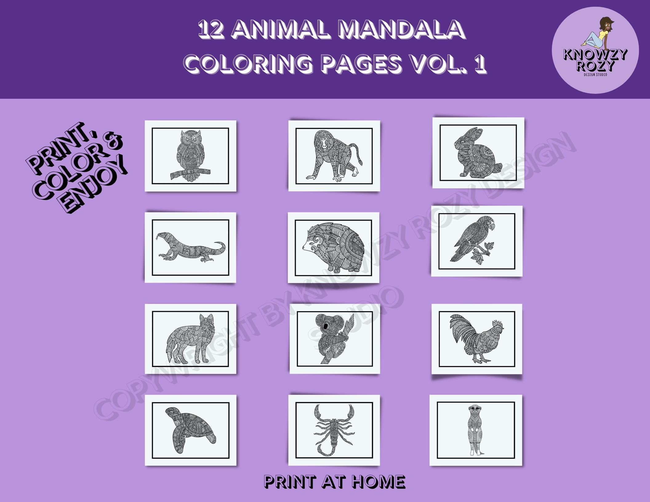 Owl Mandala Coloring Sheets - Etsy