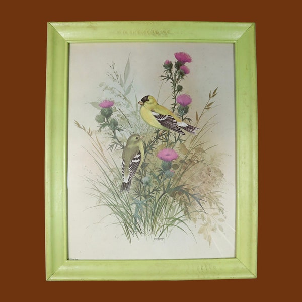 Framed Vintage Bird Art Lime Green Wooden Frame