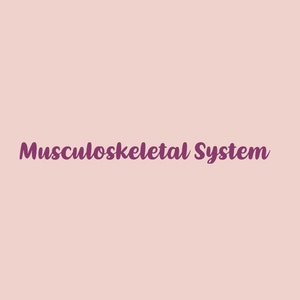 Anatomy notes| Musculoskeletal system Notes | Adult Nursing Notes | Nursing notes | Biology notes | Muscles notes | A level biology notes