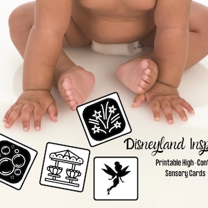 20 Printable DISNEYLAND High-Contrast Black and White Cards - Infant Sensory Development Flash Card - Sensory Cards - DIGITAL DOWNLOAD