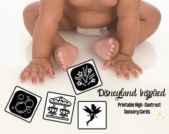 20 Printable DISNEYLAND High-Contrast Black and White Cards - Infant Sensory Development Flash Card - Sensory Cards - DIGITAL DOWNLOAD