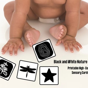 20 Printable NATURE High-Contrast Black and White Cards - Infant Sensory Development Flash Card - Sensory Cards - DIGITAL DOWNLOAD