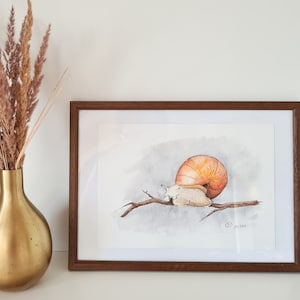 Aquarellbild Schnecke Rosalinda Original