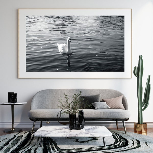 Black & White photography wall print | black and white swan | nature photography art print | digital photography print