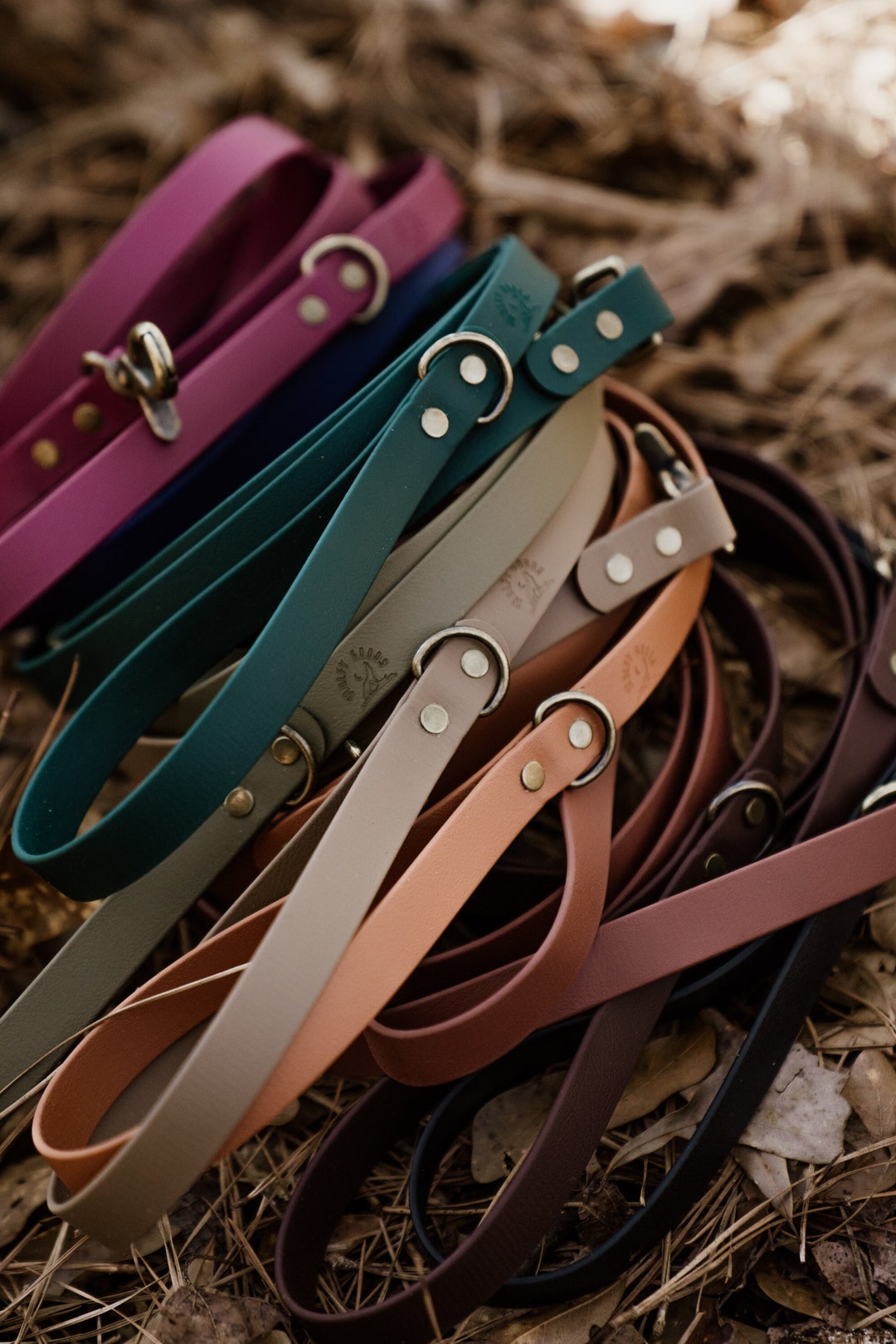 Biothane Everyday Thickness Essential Dog Leash 4ft or 6ft // Etsy