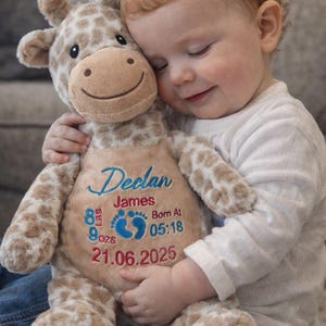 May include: A personalised giraffe soft toy, tan with brown spots, embroidered with the name "Declan", birth details, and the date 21.06.2025. The baby's weight is 3.9 kg. The giraffe has a smiling face.