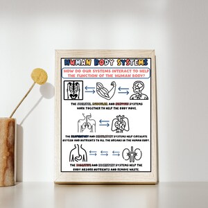 Body System Interactions Anchor Chart: Science Classroom Poster (Digital Print)