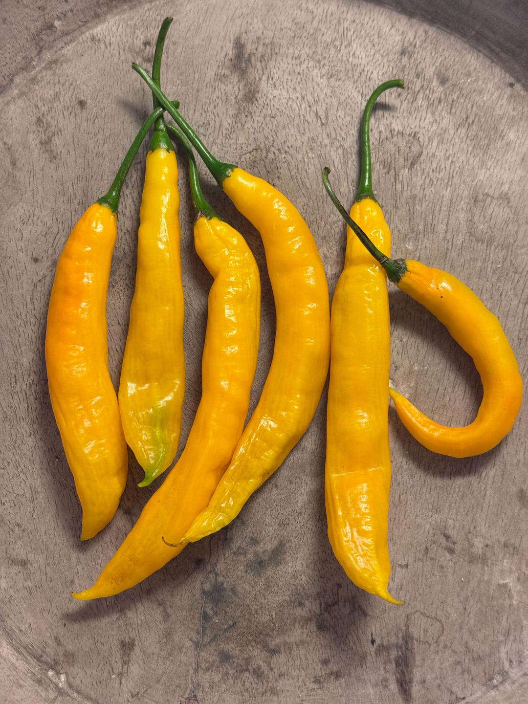 25 Aji Guyana Pepper Plant Seeds - Etsy
