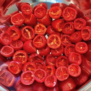 Peppadew Pepper Plant - Etsy