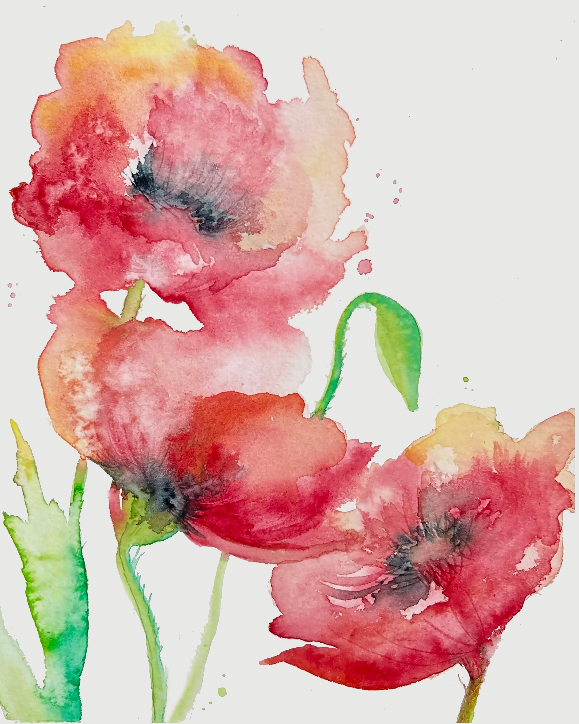 Red Poppies Gicée Print Sizes 8x 10 or 12 X 15 - Etsy