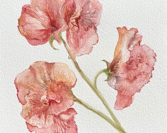 Blush Sweet Peas Original Watercolor, 6.75 x 7" art in 12 x 12", Custom Mat