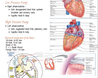 Paramedic Reference Book