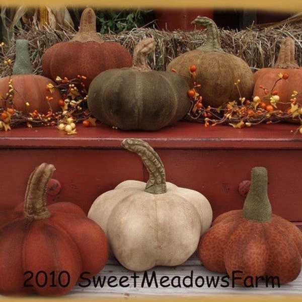 Primitive Pumpkins pattern E-PATTERN Famers Field MANY sizes and styles