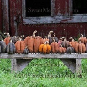 May include: A rustic wooden bench with a row of handmade fabric pumpkins in various sizes and colors. The pumpkins are a mix of orange, brown, and black, and some have stems. The bench is in front of a red barn with a wooden door.