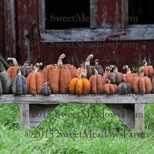 Bountiful Harvest Pumpkins Pattern