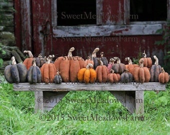Bountiful Harvest Pumpkins Pattern