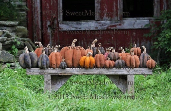 Bountiful Harvest Pumpkins Pattern E-pattern