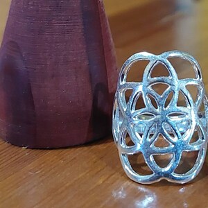 Puede incluir: Un anillo de plata con un dise&ntilde;o geom&eacute;trico que se asemeja a una flor de la vida.