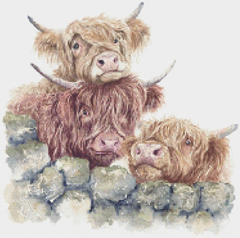 Cross Stitch Highland Cow Patterns Choose Board Pattern