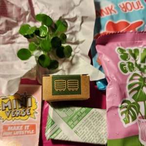 May include: A small brown cardboard box with a green label that says "LOW LIGHT VS HIGH THE DEBATE CONTINUES..."  The box is sitting on a pink surface next to a pink and green package with a monstera leaf design. The package says "SUPER GROW".