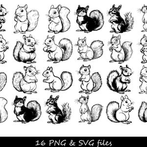 Écureuil SVG, SVG écureuil mignon, SVG Animal de la forêt, Clipart écureuil, Silhouette écureuil svg, svg écureuil automne, dessin animé écureuil