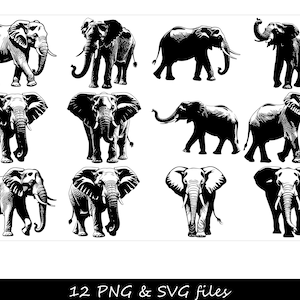 Svg éléphant, visage d'éléphant SVG, mandala éléphant SVG, svg silhouette éléphant, bébé éléphant svg, svg éléphant mignon, svg éléphant de l'Alabama