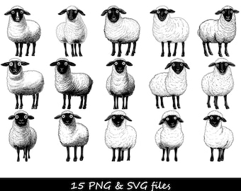 Sheep SVG, Sheep PNG, Sheep Clipart, Farm Animal SVG, Lamb svg, Sheep Head svg, Little Sheep svg, Farm svg, Cute Animal svg, Farm Life svg