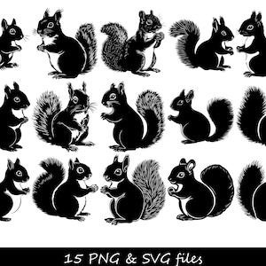Écureuil SVG, SVG écureuil mignon, SVG Animal de la forêt, Clipart écureuil, Silhouette écureuil svg, svg écureuil automne, dessin animé écureuil