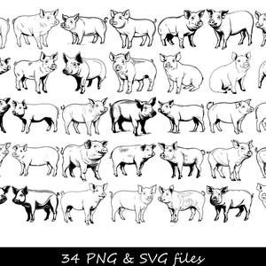 Paquete SVG de cerdo, SVG de cerdo, cara de cerdo SVG, cabeza de cerdo svg, silueta de cerdo svg, silueta de cara de cerdo svg, mostrar cerdo svg, cerdo de dibujos animados svg, algunos cerdos svg